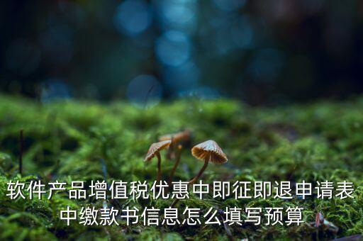 即征即退的退稅申請表如何填寫，軟件產品增值稅優(yōu)惠中即征即退申請表中繳款書信息怎么填寫預算