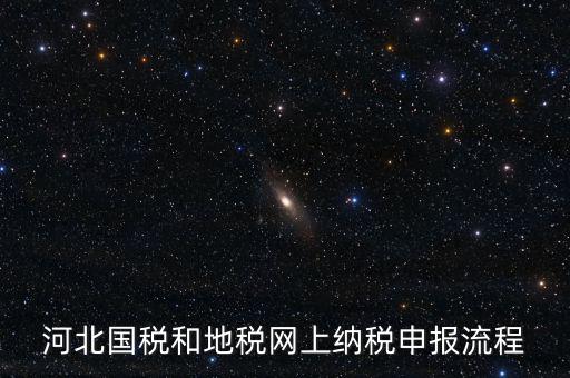 河北國稅和地稅網上納稅申報流程