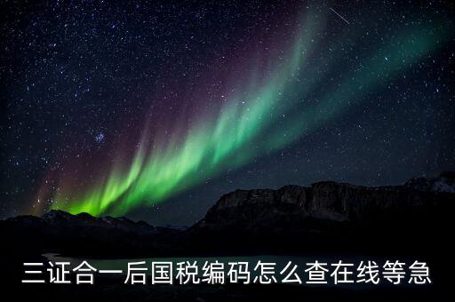 個(gè)人稅務(wù)編號(hào)如何查，請(qǐng)問(wèn)在哪里可以查到納稅人編碼