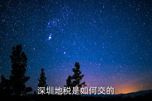 深圳市國家稅務(wù)局如何交稅，深圳市公司網(wǎng)上報(bào)國稅要這么操作啊