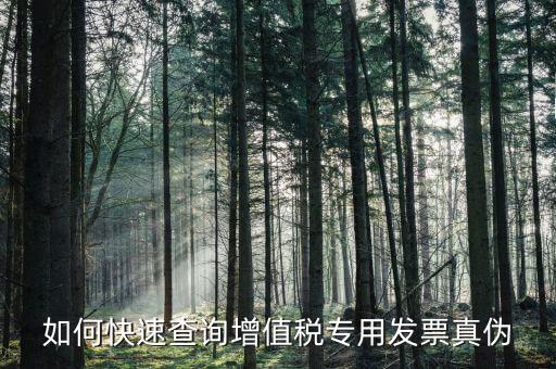 專用票如何查真?zhèn)尾樵?，如何快速查詢增值稅專用發(fā)票真?zhèn)?/></a></span><span id=