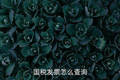 深圳市國稅局郵寄發(fā)票如何查詢，國稅發(fā)票怎么查詢