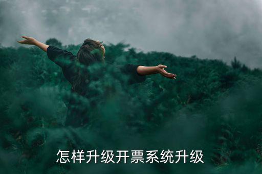 怎樣升級(jí)開(kāi)票系統(tǒng)升級(jí)