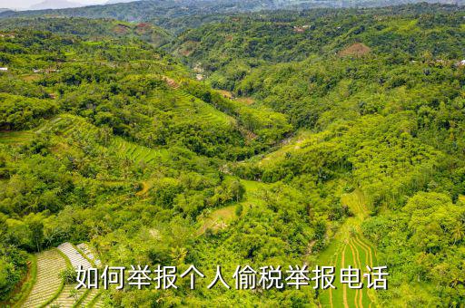 如何去稽查局 舉報(bào)電話，如何舉報(bào)個(gè)人偷稅舉報(bào)電話