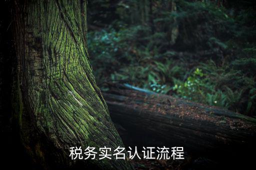 四川省稅務(wù)局如何實(shí)名采集信息，四川網(wǎng)上稅務(wù)局12366掌廳怎么實(shí)名采集掃哪個(gè)二維碼