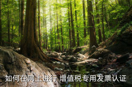 增值稅專用票如何在網(wǎng)上申請，購買增值稅專用發(fā)票要先在網(wǎng)上怎么操作