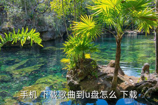 手機(jī) 下載歌曲到u盤(pán)怎么 下載