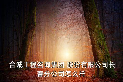 合誠(chéng)股份怎么樣,廣州合誠(chéng)化工有限公司債務(wù)由合誠(chéng)工程咨詢(xún)承擔(dān)