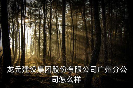 龍元建設怎么樣,龍元建設集團有限公司廣州分公司注冊成立
