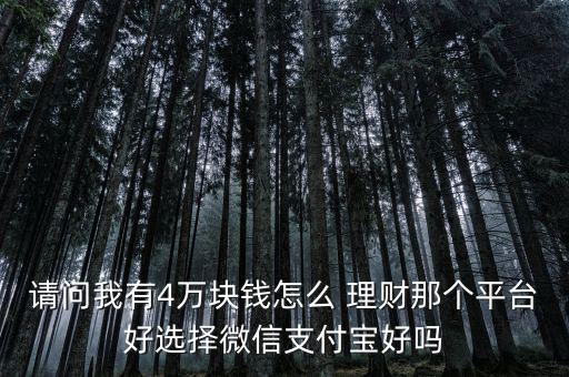 請(qǐng)問(wèn)我有4萬(wàn)塊錢(qián)怎么 理財(cái)那個(gè)平臺(tái)好選擇微信支付寶好嗎