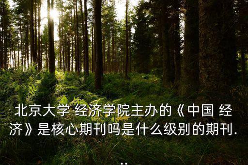 北京大學 經濟學院主辦的《中國 經濟》是核心期刊嗎是什么級別的期刊...