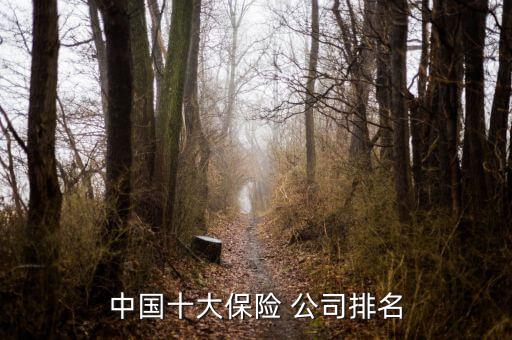 中國(guó)十大保險(xiǎn) 公司排名