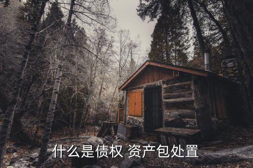 資產(chǎn)包怎么買(mǎi)賣(mài),政府將為債權(quán)資產(chǎn)打包處置或拍賣(mài)