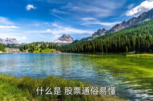 怎么懂股票,股票基礎(chǔ)、股票定投、投資書籍等資源免費(fèi)下載