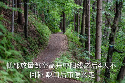 低部放量跳空高開(kāi)中陽(yáng)線(xiàn)之后4天不 回補(bǔ) 缺口后市怎么走
