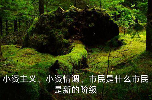小資主義、小資情調(diào)、市民是什么市民是新的階級
