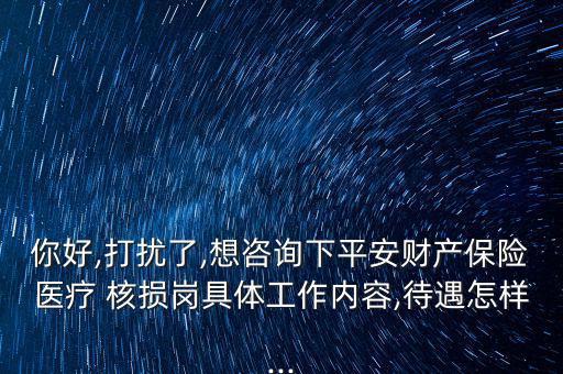 你好,打擾了,想咨詢(xún)下平安財(cái)產(chǎn)保險(xiǎn)醫(yī)療 核損崗具體工作內(nèi)容,待遇怎樣...