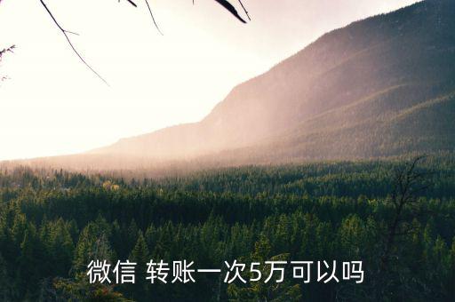 微信 轉賬一次5萬可以嗎