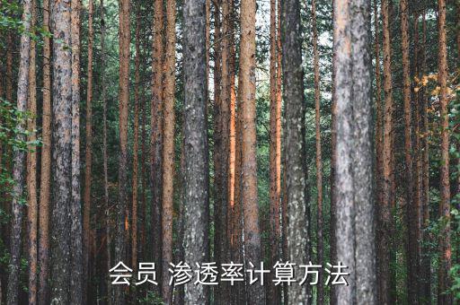 4g用戶滲透率怎么算,中國移動營收規(guī)?？涨?g用戶規(guī)模超大