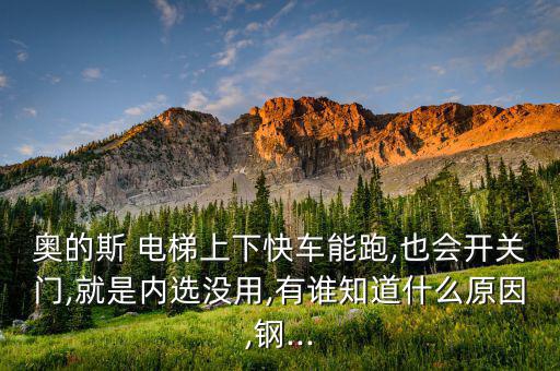 奧的斯 電梯上下快車能跑,也會開關(guān)門,就是內(nèi)選沒用,有誰知道什么原因,鋼...