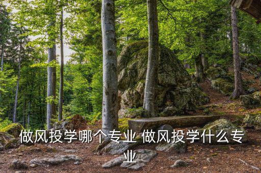  做風(fēng)投學(xué)哪個(gè)專(zhuān)業(yè) 做風(fēng)投學(xué)什么專(zhuān)業(yè)