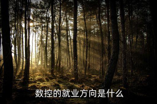 法因數(shù)控怎么樣,數(shù)控設(shè)備管理高級(jí)技術(shù)型、應(yīng)用型專業(yè)人才