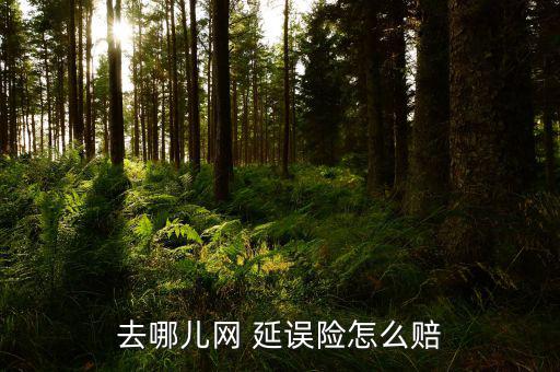 去哪兒網 延誤險怎么賠