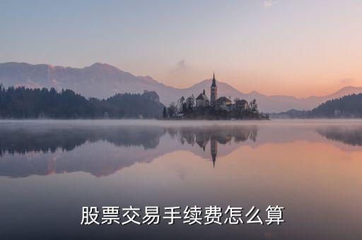 買股票費(fèi)用怎么算,股票交易費(fèi)用包括手續(xù)費(fèi)、過(guò)戶費(fèi)和傭金
