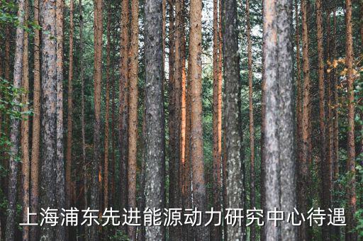 上海浦東產業(yè)經濟研究院怎么樣,研究院和讀研是不同概念