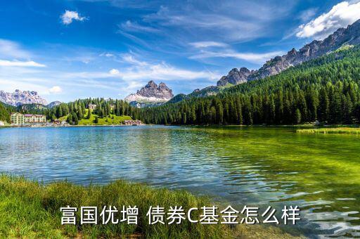 嘉實(shí)債券怎么樣,短債基金包括諾安債券、友邦短債、嘉實(shí)超短債