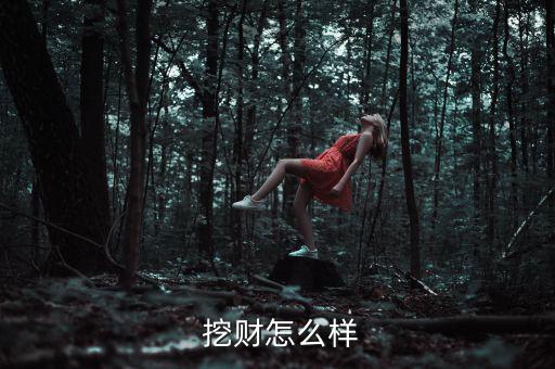 挖財理財怎么樣,國內唯一全平臺記賬理財平臺