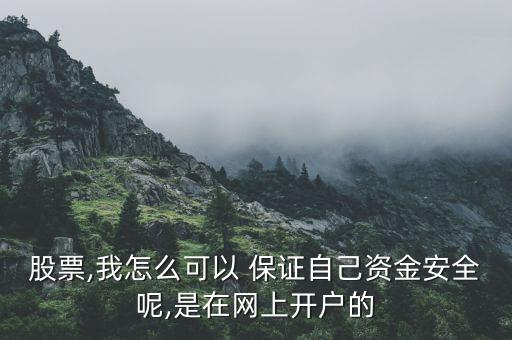 股票,我怎么可以 保證自己資金安全呢,是在網上開戶的