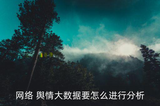 網絡 輿情大數據要怎么進行分析
