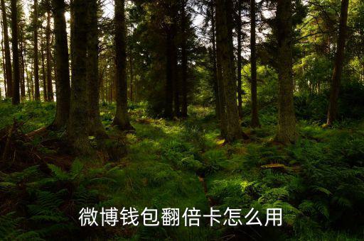 微博錢(qián)包翻倍卡怎么用