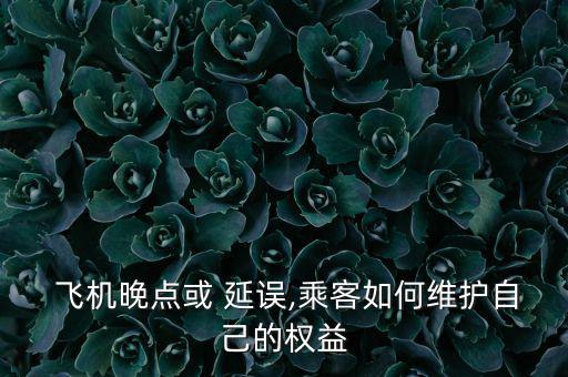  飛機(jī)晚點或 延誤,乘客如何維護(hù)自己的權(quán)益