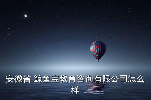 安徽省 鯨魚(yú)寶教育咨詢有限公司怎么樣