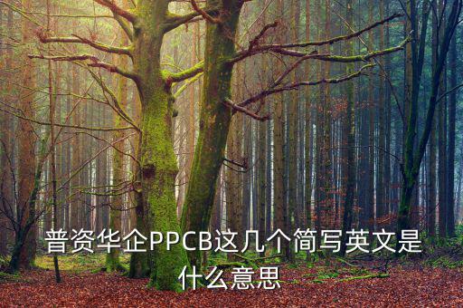  普資華企PPCB這幾個(gè)簡寫英文是什么意思