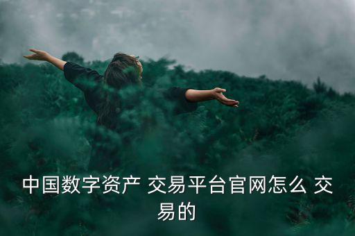 中國數(shù)字資產(chǎn) 交易平臺(tái)官網(wǎng)怎么 交易的