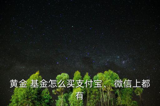 黃金 基金怎么買支付寶、 微信上都有