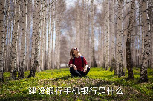 建設(shè)銀行手機銀行是什么