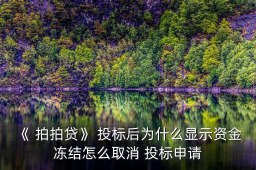 拍拍貸怎么投標,拍拍借貸為何顯示資金被凍結?原因所在