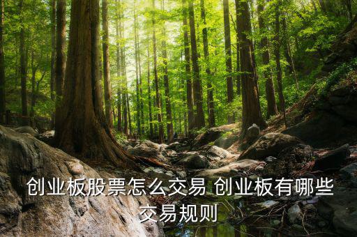 拆分的創(chuàng)業(yè)分級(jí)怎么賣出,具體分級(jí)基金交易方式請(qǐng)見(jiàn)基金公告