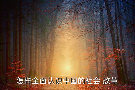 怎樣全面認識中國的社會 改革