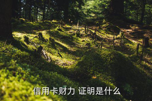 信用卡財產證明怎么開,辦理流程信用卡(pass）
