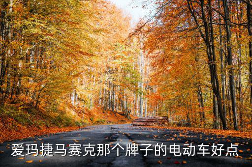 愛瑪捷馬賽克那個牌子的電動車好點(diǎn)