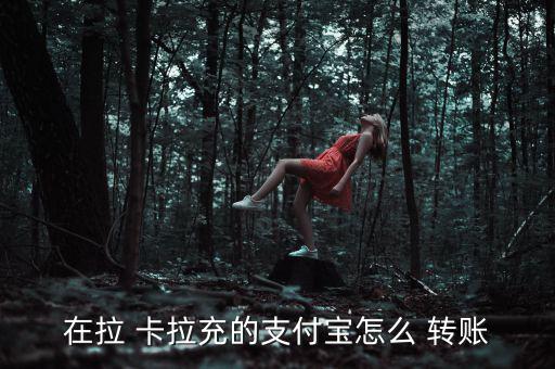 在拉 卡拉充的支付寶怎么 轉賬