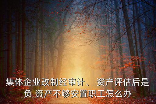 集體企業(yè)改制經(jīng)審計(jì)、 資產(chǎn)評(píng)估后是負(fù) 資產(chǎn)不夠安置職工怎么辦