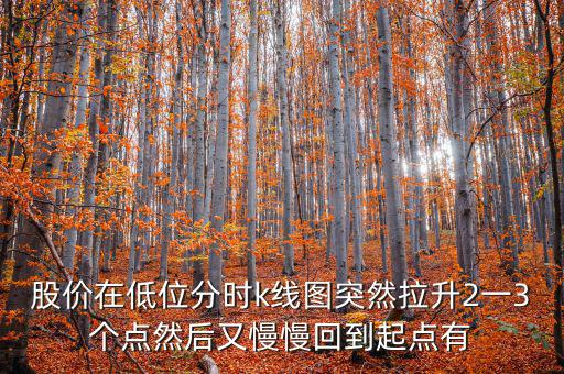 低位反彈之后加速拉升什么情況，股價(jià)在低位分時(shí)k線圖突然拉升2一3個(gè)點(diǎn)然后又慢慢回到起點(diǎn)有