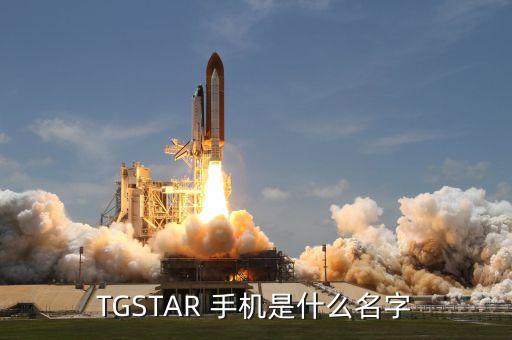 周鴻t手機牌子是什么，T型的手機是什么牌子