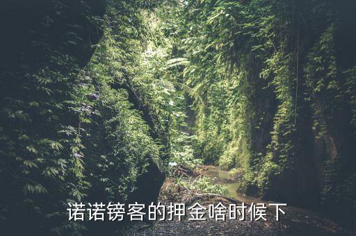 諾諾鎊客里的收本金額是什么，諾諾鎊客的押金啥時候下